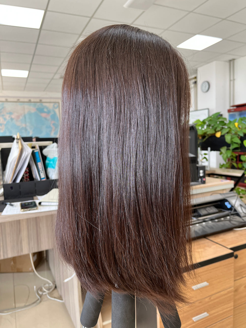 Brown sleek European hair lace top wig